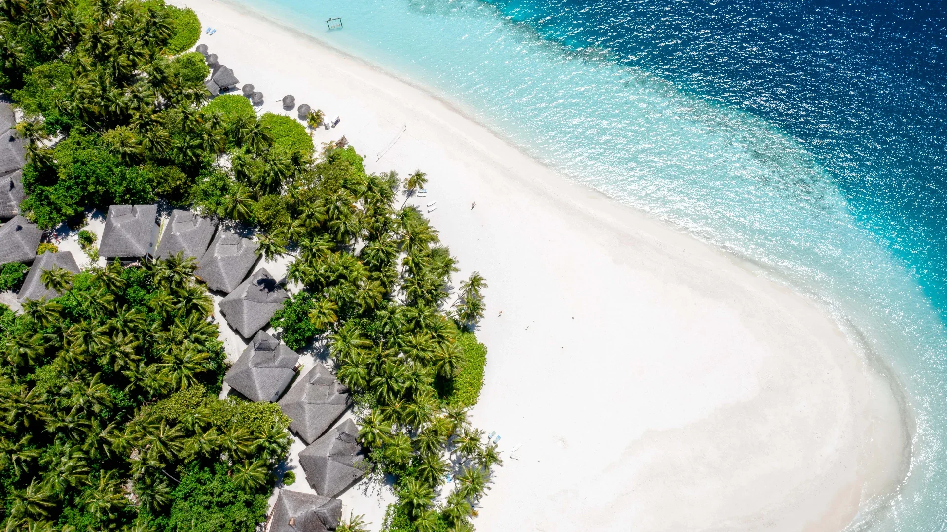 MALDIVLER BALAYI PAKETİ Bandos Maldives galeri 2